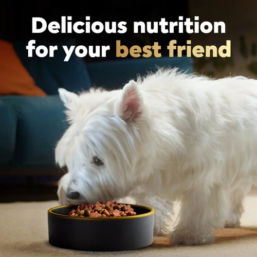 3 Pack Cesar Filet Mignon And Spring Vegetables Dry Dog Food, 5 Lb Bag - Picture 10 of 11