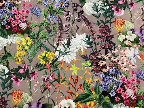 Chateau Spring Floral Velvet Dove Curtain/Upholstery Fabric - 第 1/9 張圖片