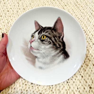 Vintage Schumann Arzberg Bavaria Cat Plate German Porcelain 7.5  Tabby Kitten