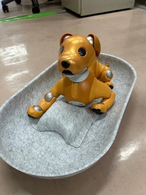 Sony AIBO ERS-1000 Caramel Brulee Limited Edition Robot Dog