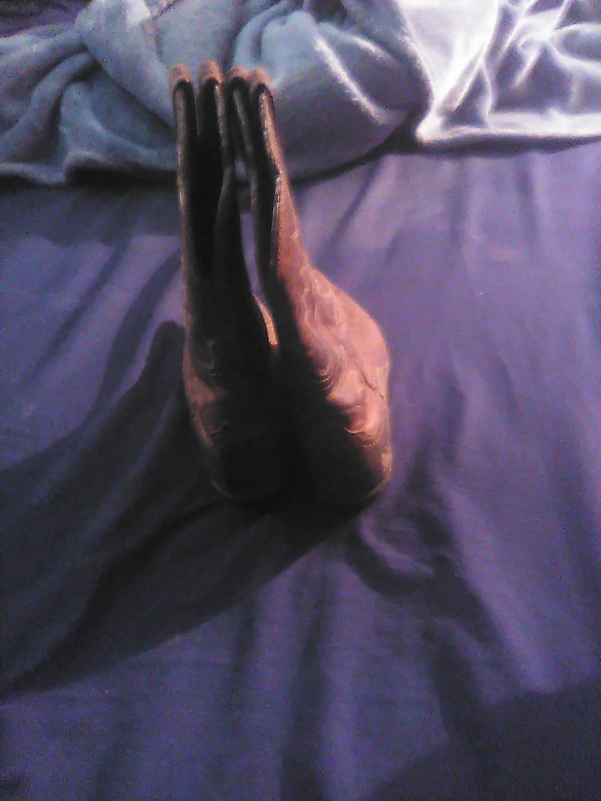 Picture 3 of 7