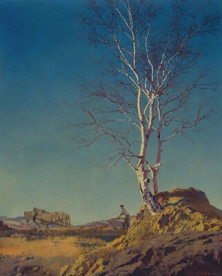 MAXFIELD PARRISH Art Poster or Rolled Canvas Print ''White Birch, 1929''