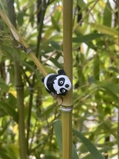 Panda In The Wild | articulatetoy | 3D printed. -  Set of 5