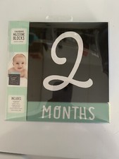 Chalkboard Milestone Blocks Photo Prop Stepping Stones Babys