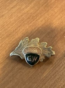 WHAT IS THIS ? ACORN OAK  “ GW “  LAPEL Pin OLD CLUB FRATERNITY SOCIETY FH NOBLE