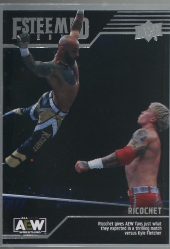 Wrestling New Classic TAJIRI s Arrival (2 Disc) DVD | eBay
