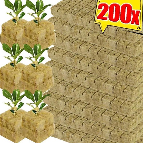Rock Wool Grow Cubes Seed Starter Plugs Hydroponic Planting Blocks Kit - Picture 24 of 26