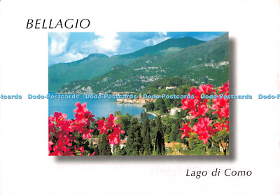 D113760 Bellagio. Lago di Como. Panorama con azalee. Danilla Lanfranconi. Ok Spe