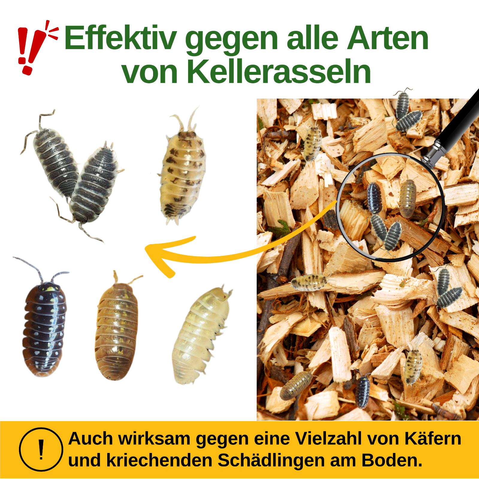 Bild 35 von 41