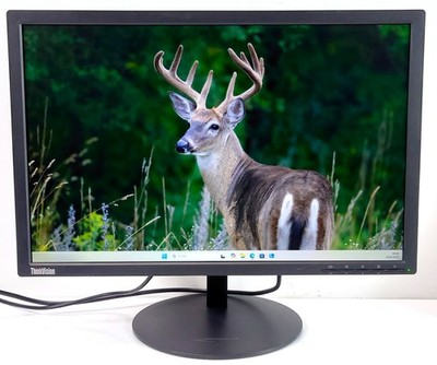 Lenovo ThinkVision T2254p 22'' LED PC Computer Monitor 16:10 HDMI DP 1680x1050
