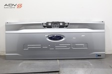 2021 - 2025 Ford F-150 Tailgate Back Door Pick Up Box Shell Cover Oem