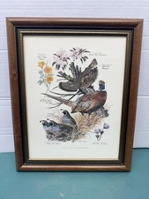 Vtg ‘57 Framed Arthur Singer Ring Necked Pheasant Botanical Print #3 Of A Series