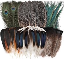 50pcs Natural Feathers Bulk-6 Style Mixed Decorative Spotted Feathers,Peacock...