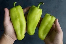 100ct Heirloom Cubanelle Pepper Seeds -Ultimate Stuffing Pepper! Sweet! No Heat!