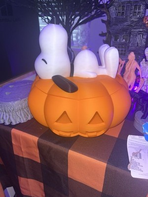 Peanuts Snoopy Halloween Bowl Or Light
