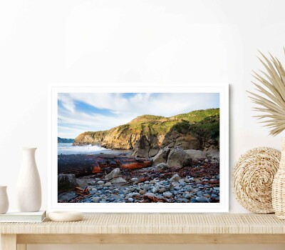 Dead Blue Whale in Decomposition Poster Premium Quality Choose your Size