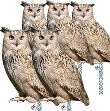 5 Pack Owl to Keep Birds Away Decoy Scare Fake Owl Reflective Hanging Repellent