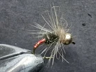 1 DOZEN TUNGSTEN HEAD RED AND GOLD NYMPHS FOR FLY FISHING-TUNG-89