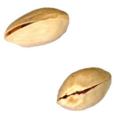 Magnetic Pistachio Nuts Through Bottle / Cup Magic Tricks Magician Close Up
