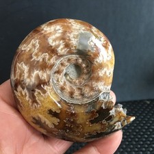 200g Natural polished black  stone Carving   specimens of Madagascar  m3808