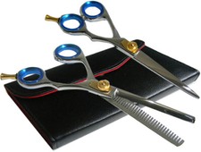 Pair of Hair Cutting and thinning Scissor Shears Barber Hairdressing 43JTH1BPAIR