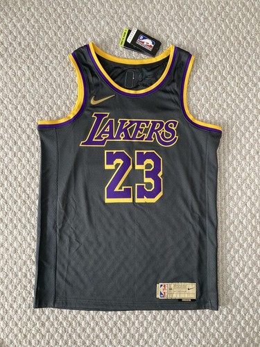 Buy NIKE LEBRON JAMES Earned Edition 