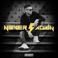 Never Again - Briga Cd Honiro (Distrib.)