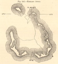 Keeling Atoll. Indian Ocean. SMALL sketch map 1886 old antique plan chart