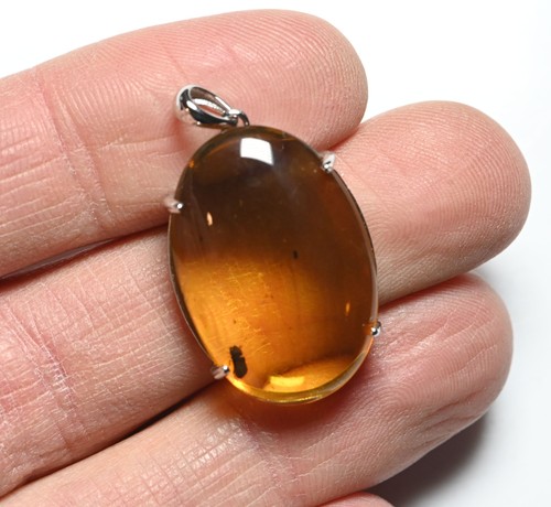 Pendant with Coleoptera (Beetle), Fossil Insect Inclusions in Burmese Amber - 第 5/6 張圖片