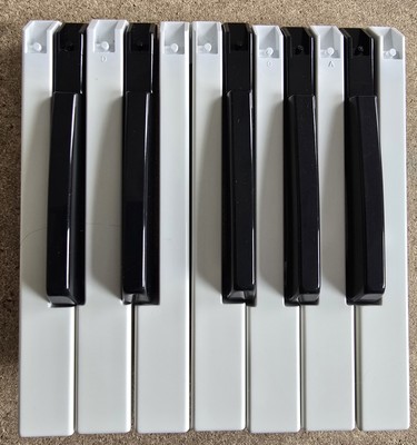 Schlüssel (Teile) für Roland W30, D10, D20, Juno 6, 60, 106, Jupiter 6, 8 und andere
