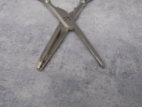 Barker Bros England Sterling Grapes & Vines Shears Scissors c.1900 - Picture 5 of 11