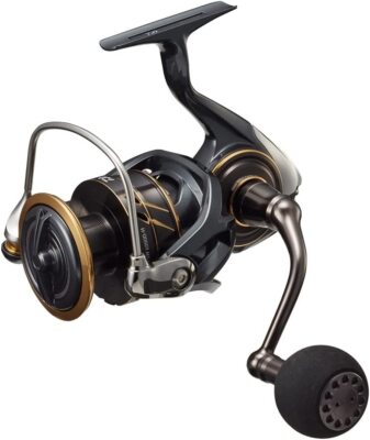 ダイワ　CALDIA SW 6000D-H Daiwa 22 Caldia SW 6000D-H Spinning Reel From Japan | eBay
