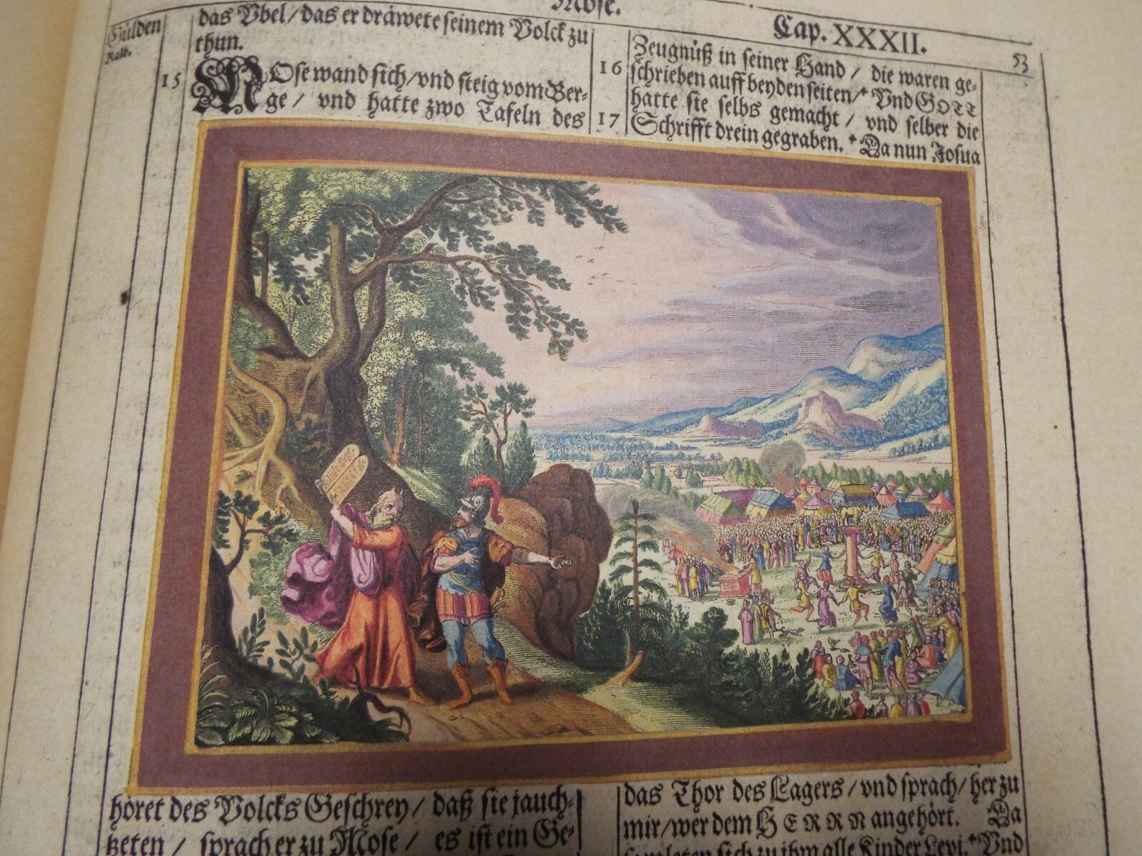 Bild 11 von 12