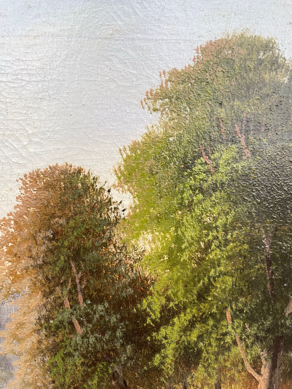 Bild 8 von 17