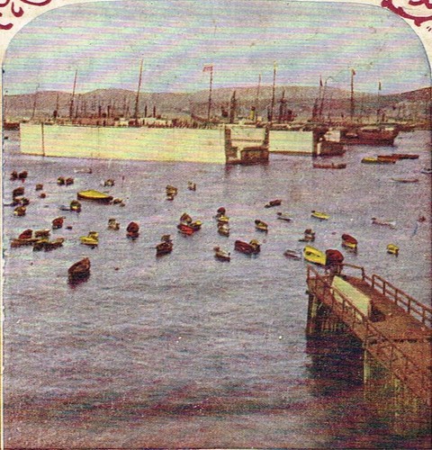 b742, HC White Stereoview, # -, MEX-O-JA Coffee, Valparaiso, Chili, 1905 - Picture 3 of 5