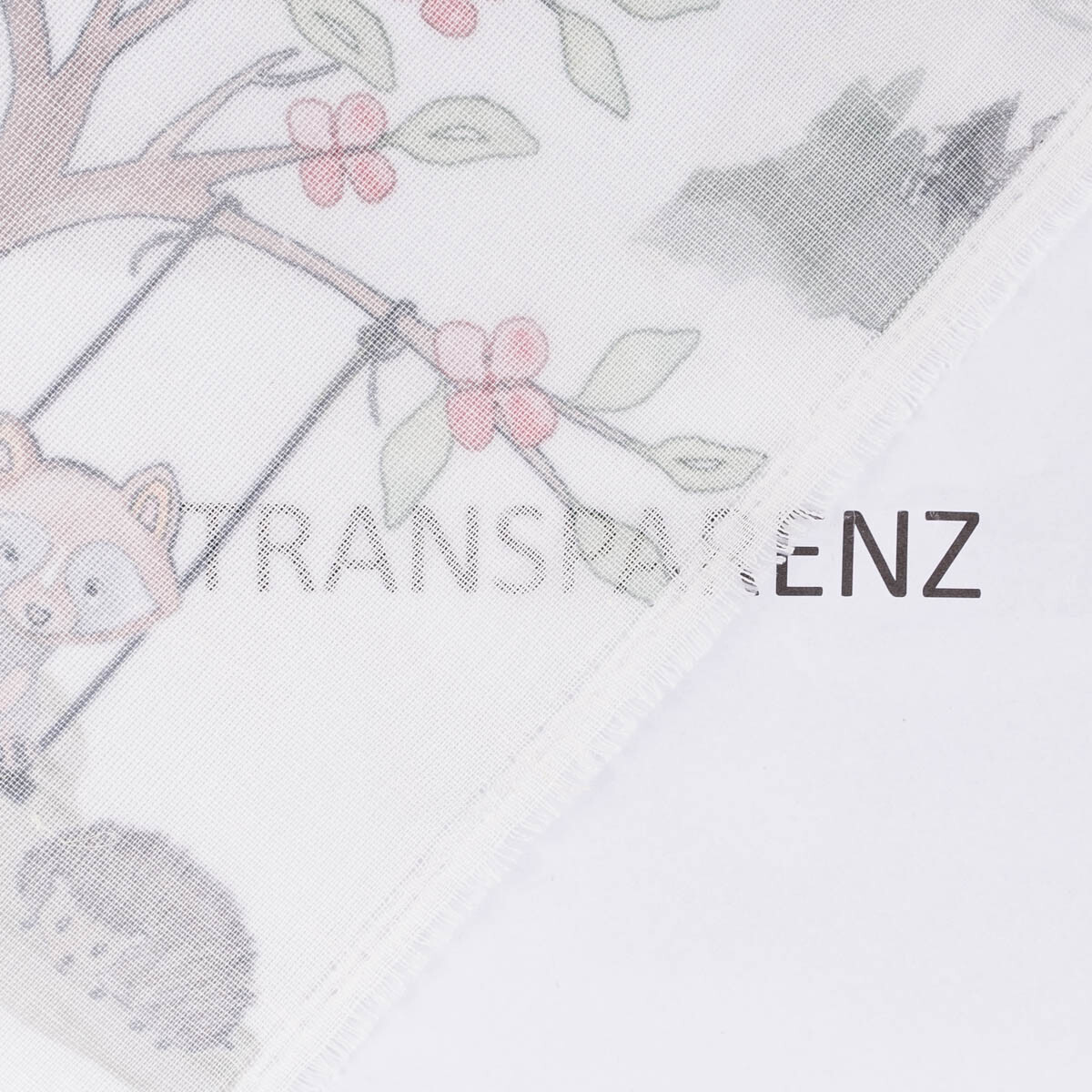 Bild 7 von 7