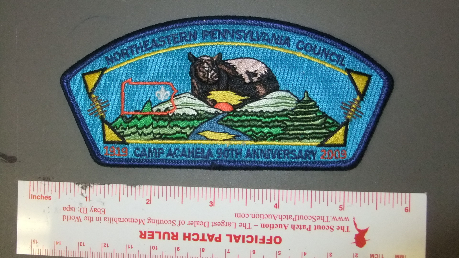 Picture 1 of 1
