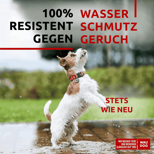 Pink Waterproof Dog Collar Adjustable for Small Dogs 914 in Neck x 3/5 in Wide - Picture 2 of 7