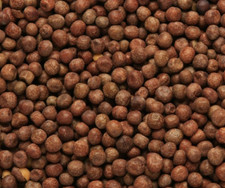 20KG MAPLE PEAS PIGEON FOOD / PARTICLE BAIT CARP CHUB TENCH BARBEL FISHING  