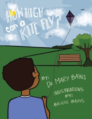 Bains - How High Can a Kite Fly - Neues Taschenbuch oder Softback - J555z
