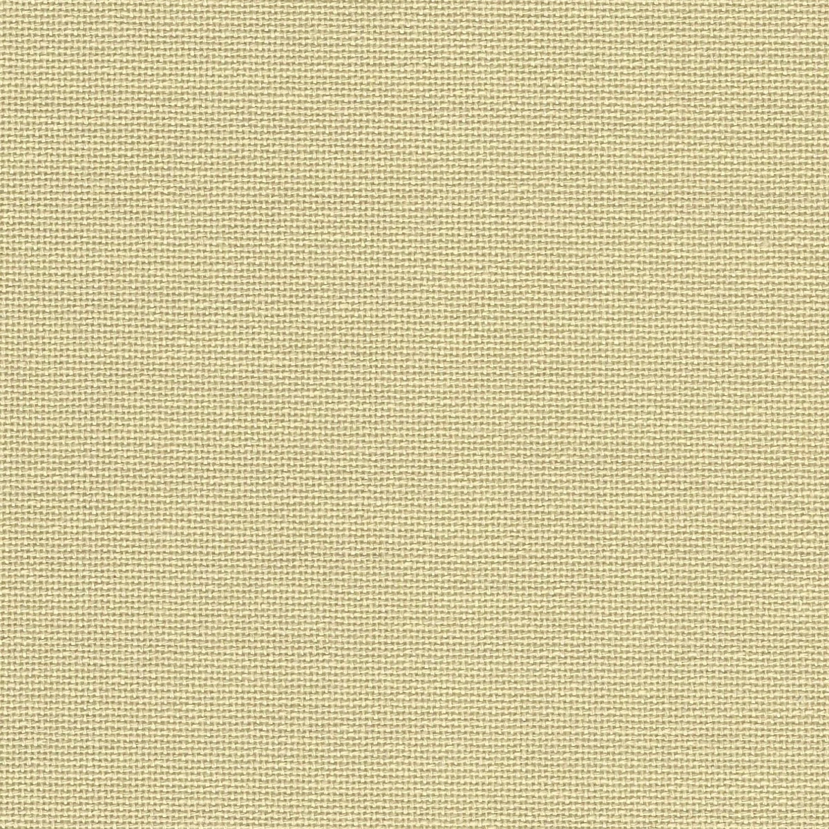 Tissu popeline de coton - Vichy grands carreaux - Vert foncé
