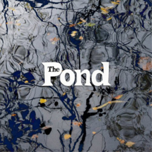 The Pond The Pond (CD) Album
