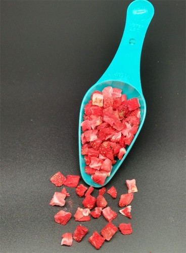 1000g Bio Erdbeeren gefriergetrocknet Würfel Stücke Trockenfrüchte 100% Frucht - Bild 6 von 6