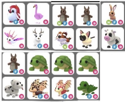 18 Mid-tier adopt me virtual pets!! Good sale! :D