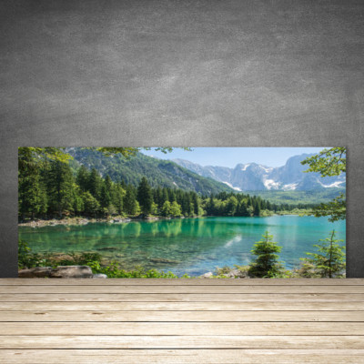 Küchenrückwand aus Glas ESG Spritzschutz 125x50cm Gebirge See Wald Natur