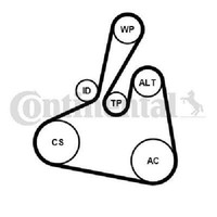 Original Continental Ctam Keilrippenriemensatz 6PK1502 Extra K1 FüR Ford
