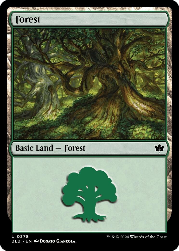Forest (0378) - 378 - NM - Bloomburrow