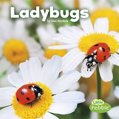Ladybugs (Little Critters) by Amstutz  New 9781515719410 Fast Free Shipping-,