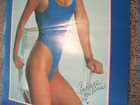 1979 Playboy Playmate Candace Collins Pin-Up Poster for NIPPONDENSO Spark Plugs — photo 4