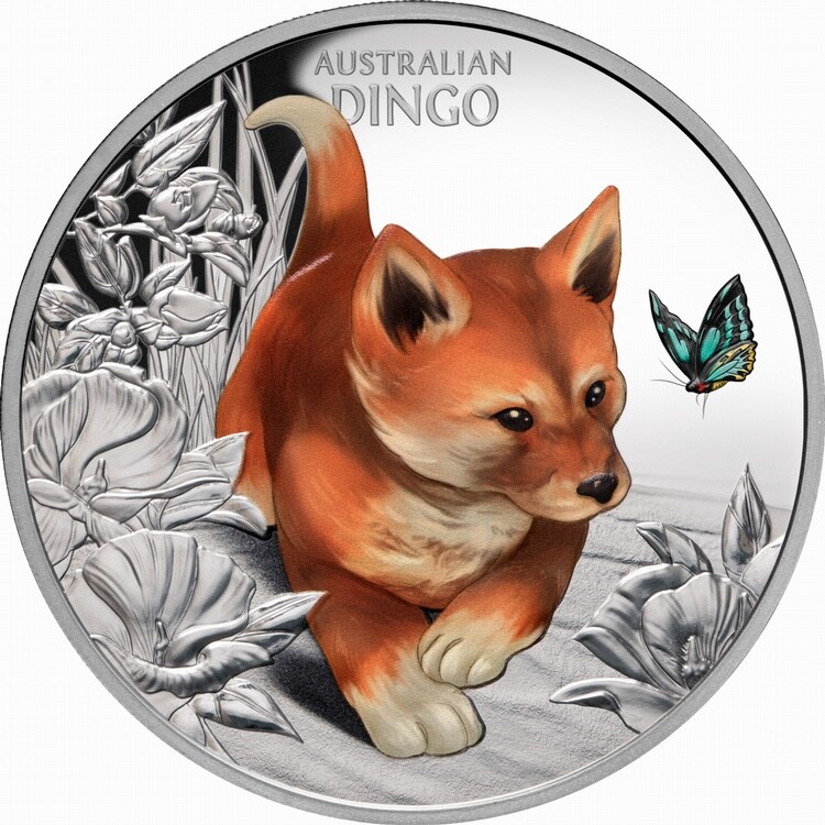 Niue 2024 Cute & Cuddly Baby Dingo Puppy Dog $1 1 Oz Pure Silver